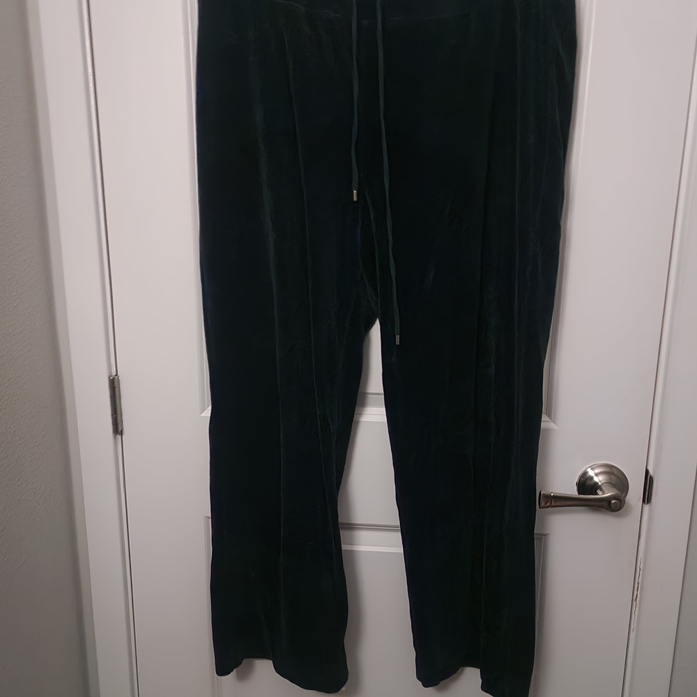 5/$30 Jones New York Sports Velour Pant - Dark Green - Picture 2 of 4